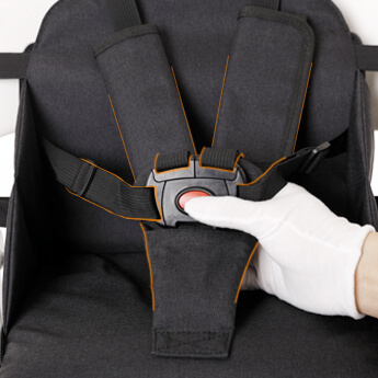 5-point seat belt