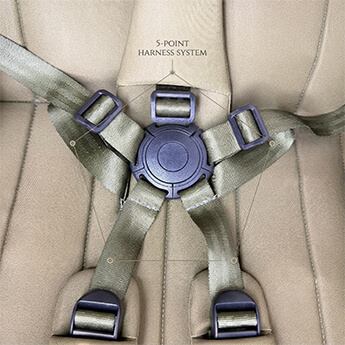 Five-Point Safety Harness