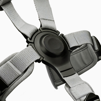 5-Point safety belt